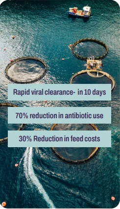 Rapid viral clearance
